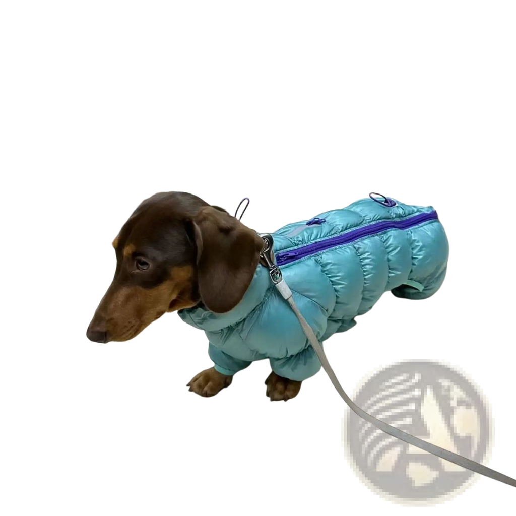 Light blue small dog puffer coat with purple zipper thermal cotton padded winter jacket seen from the back side
