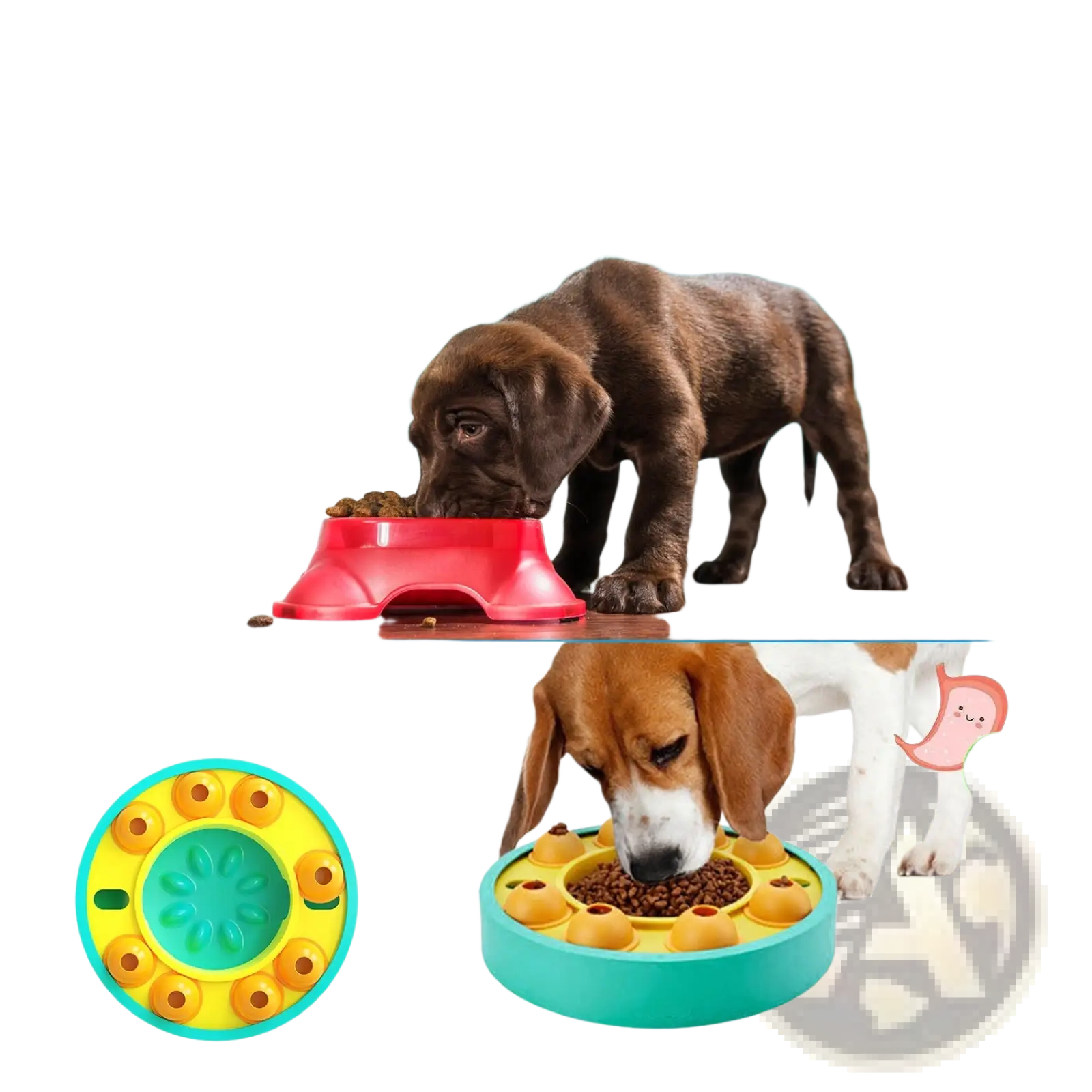 Red plastic dog puzzle feeder with raised edges and central feeding area for slow feed interactive toy use