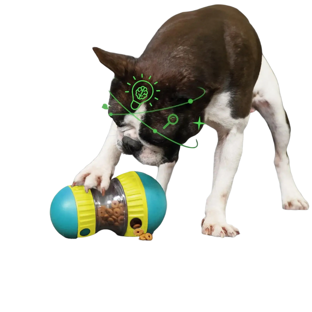 Blue and yellow plastic dog puzzle toy and food dispenser with transparent sections revealing hidden dog food kibble