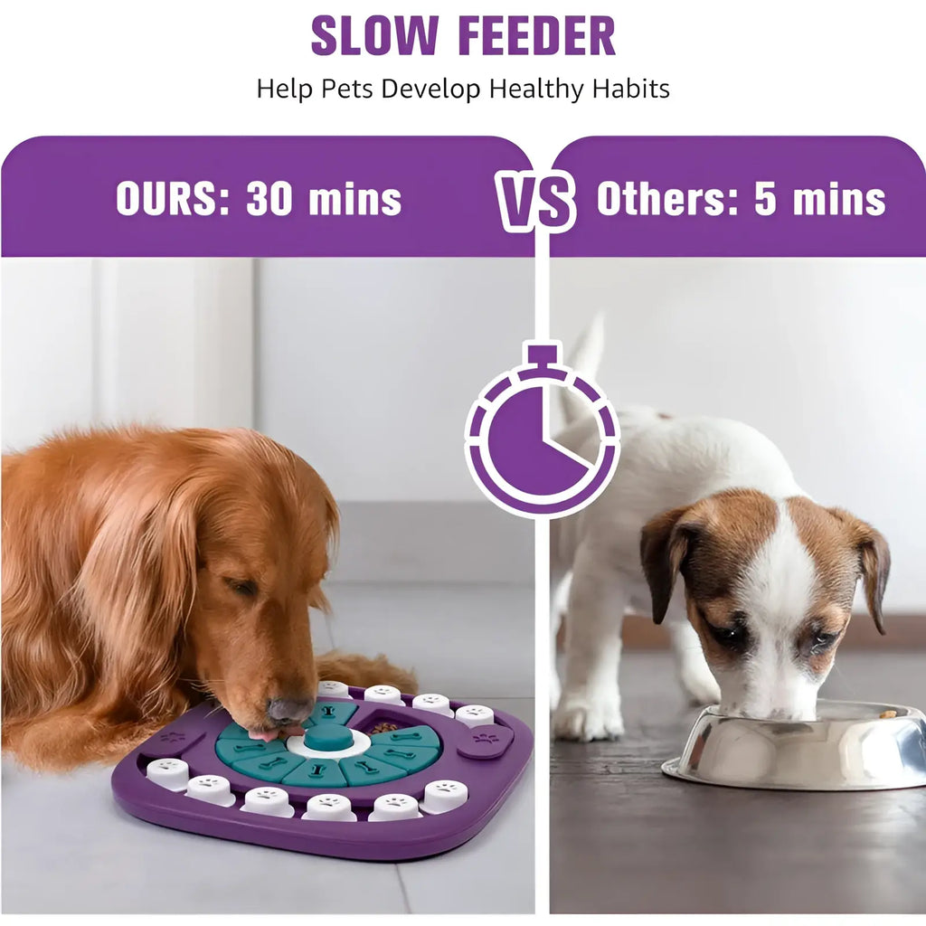 Purple and teal slow feeder dog puzzle toy with numbered buttons for interactive squeaky treat feeding maze