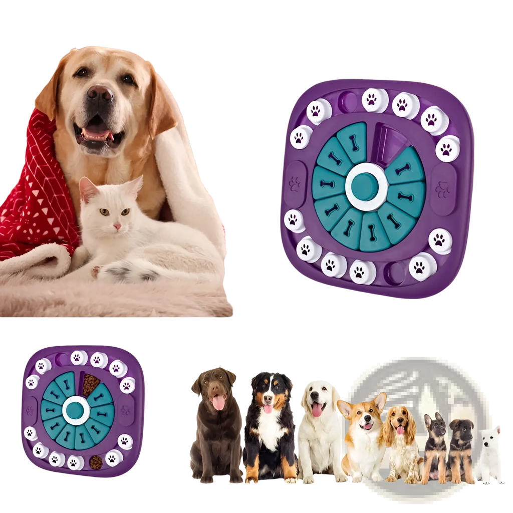 Purple and teal plastic dog puzzle toy interactive squeaky treat feeder with paw print and bone-shaped slots