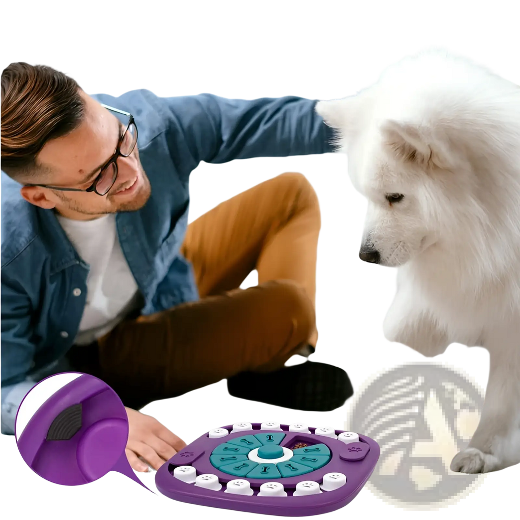 Purple and teal interactive dog puzzle toy with squeaky treat feeder maze and non-slip mat for mental stimulation