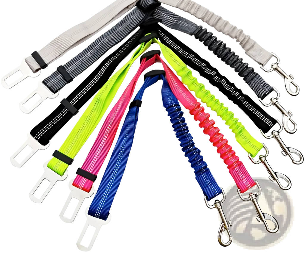 A set of colorful elastic dog seat belt safety harness leads with reflective stitching and metal buckles for car use