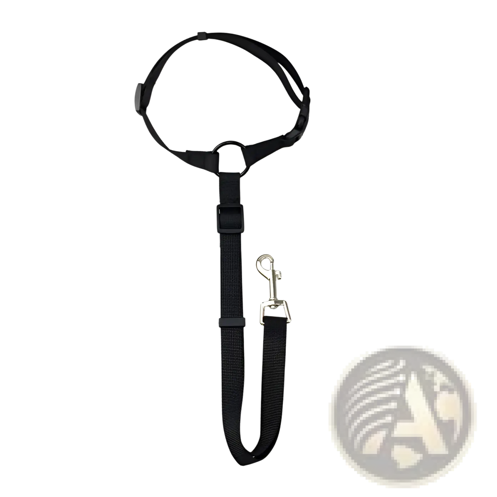Black nylon dog seat belt harness with adjustable straps and silver metal clip for secure leash attachment
