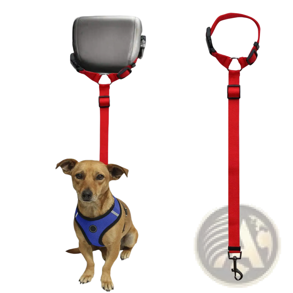 Red dog seat belt harness and leash set with adjustable straps and secure hook for car safety restraint