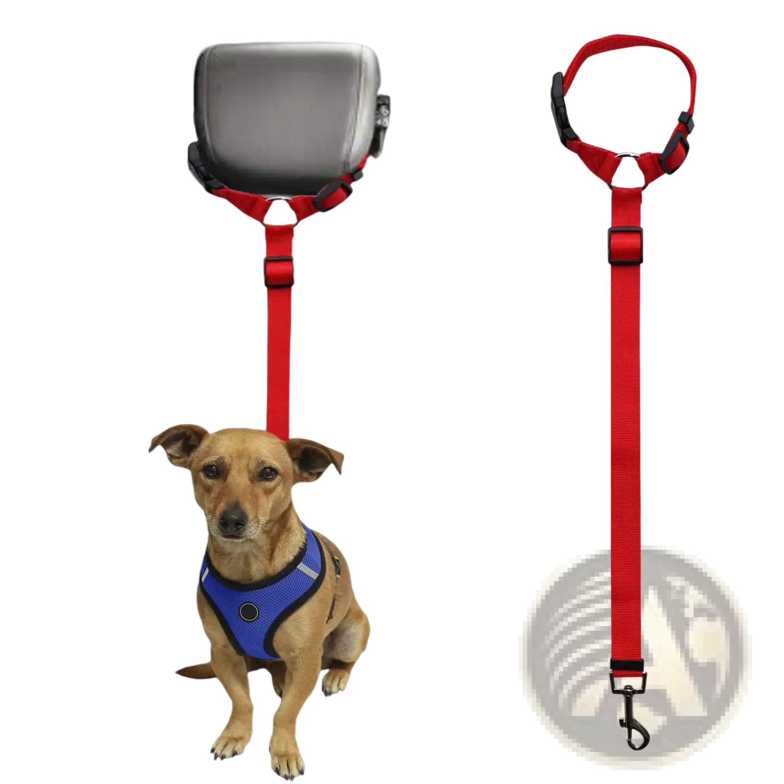 Red dog seat belt harness and leash set with adjustable straps and secure hook for car safety restraint