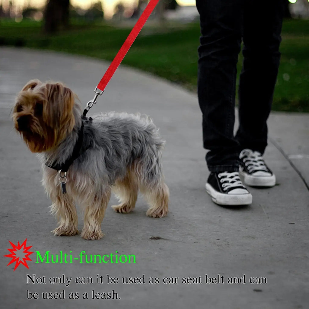 Red nylon dog leash with metal clasp designed for secure walking in a dog seat belt harness and leash set