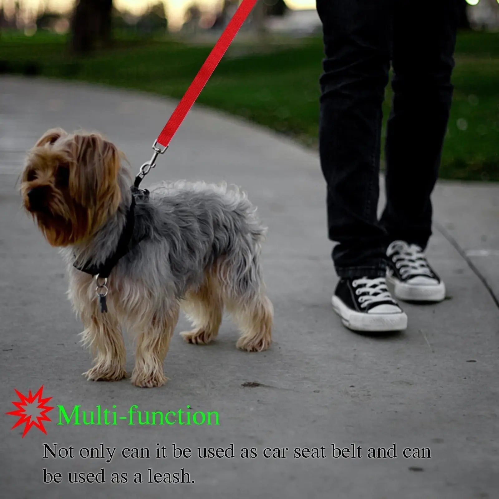 Red nylon dog leash with metal clasp designed for secure walking in a dog seat belt harness and leash set