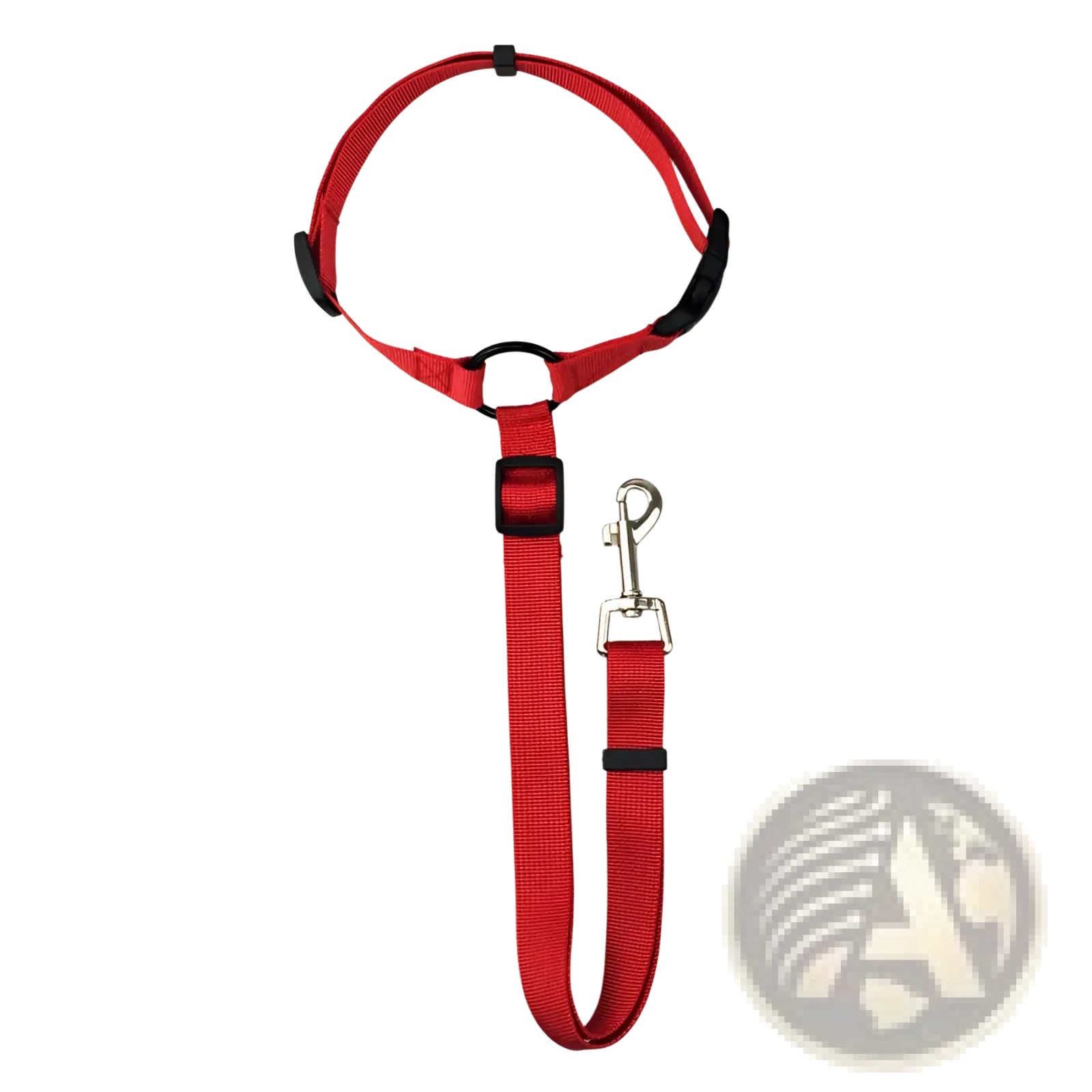 Red nylon dog seat belt harness and leash set with black plastic adjusters and silver metal clip for safety restraint