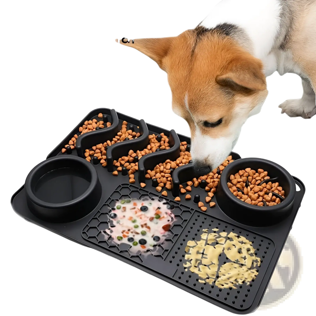 Black silicone multifunctional dog slow feeder bowl with segmented channels for water wet food and dry kibble