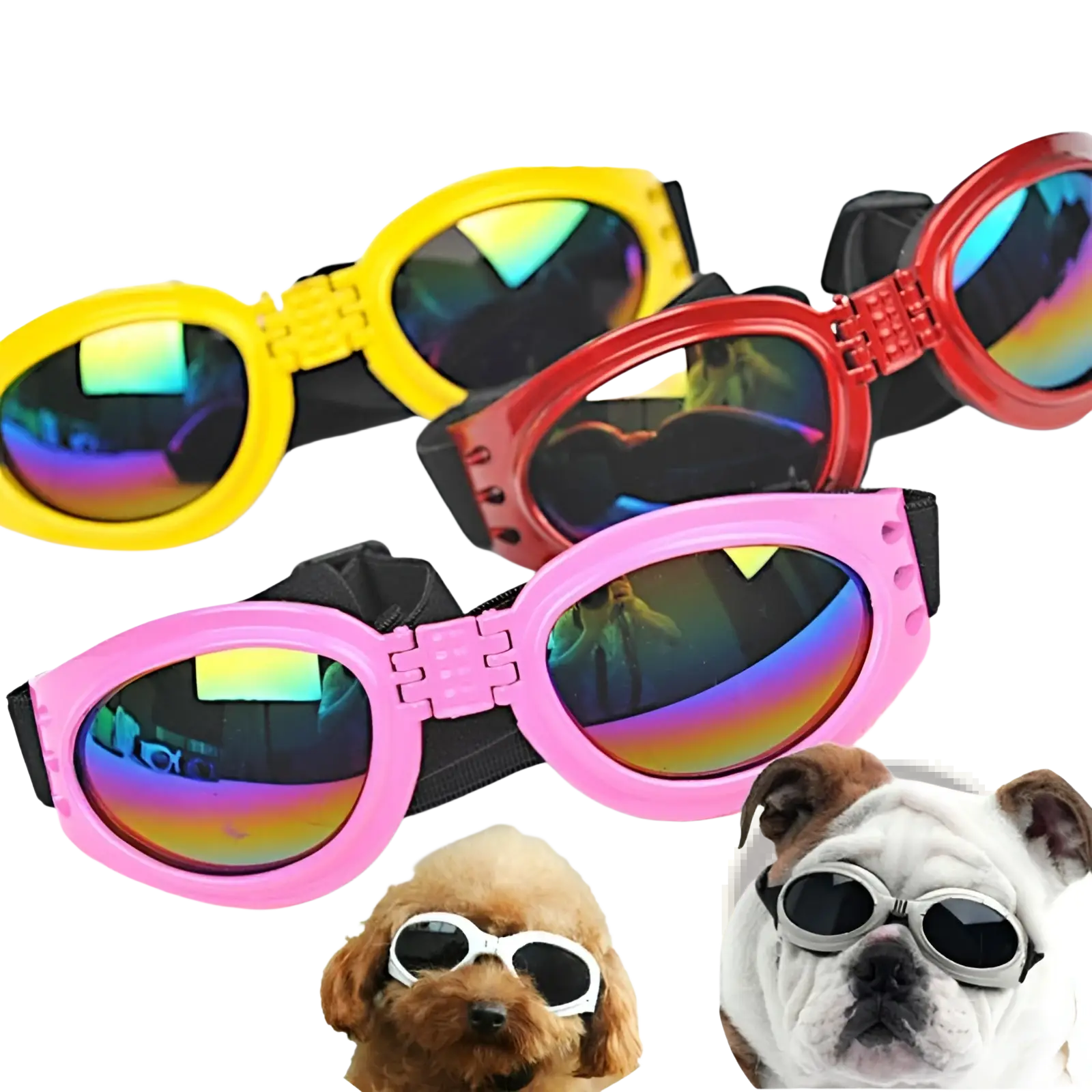 Dog sunglasses with uv protection in yellow red and pink plastic frames and black adjustable straps for medium pets