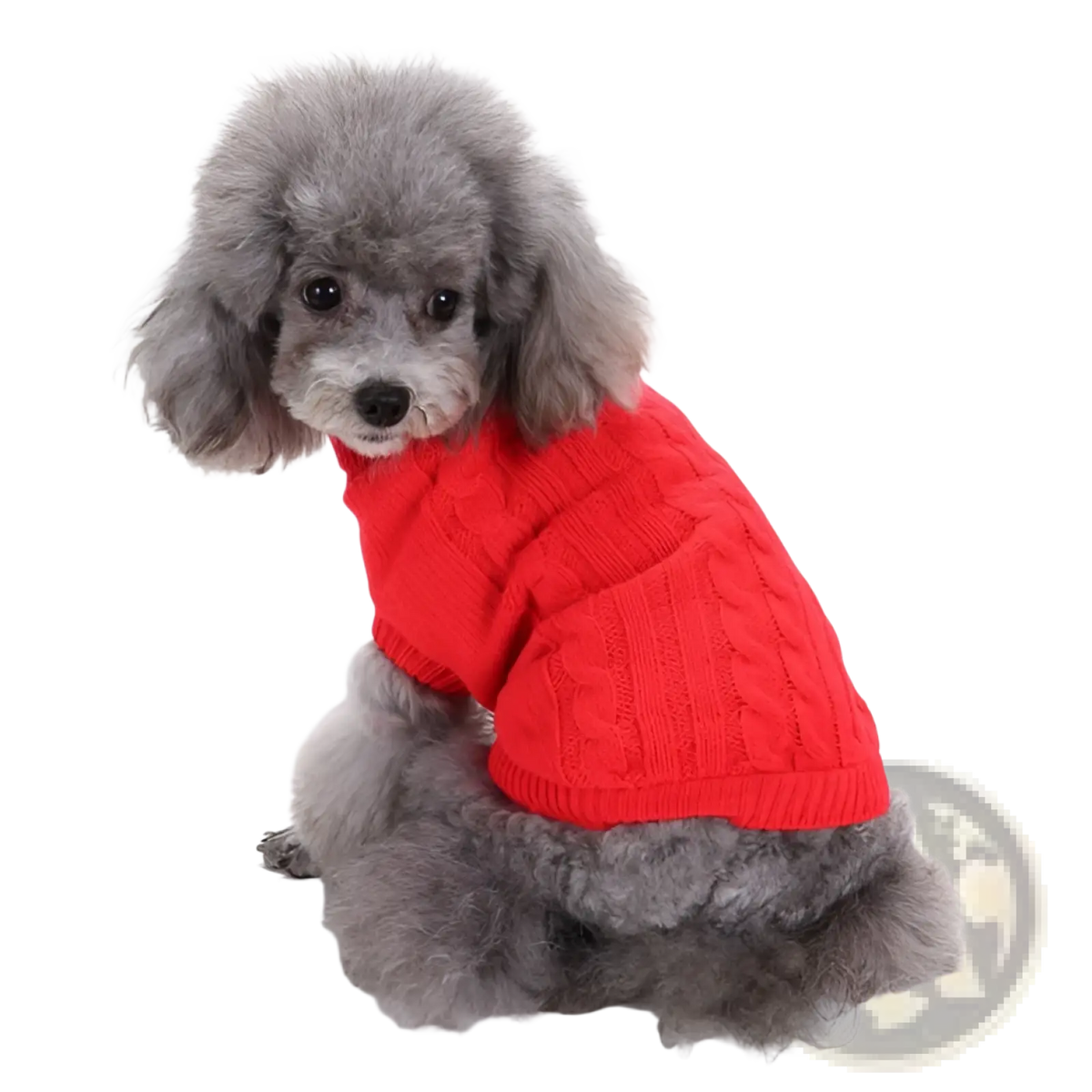 A vibrant red wool cable knit dog sweater with a snug fit designed for small pets from xs to l size