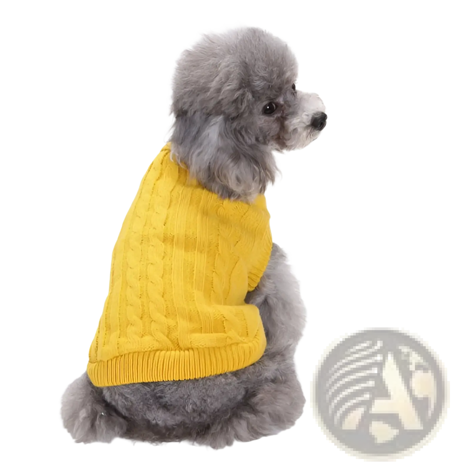 A gray poodle wearing a vibrant yellow cable knit warm wool dog sweater for pet apparel sizes xs to l