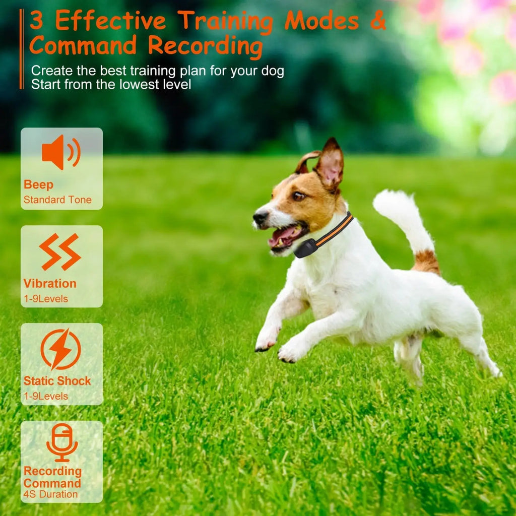 Black and orange dog training collar waterproof with 984ft range, beep, vibration, static shock, and voice record features