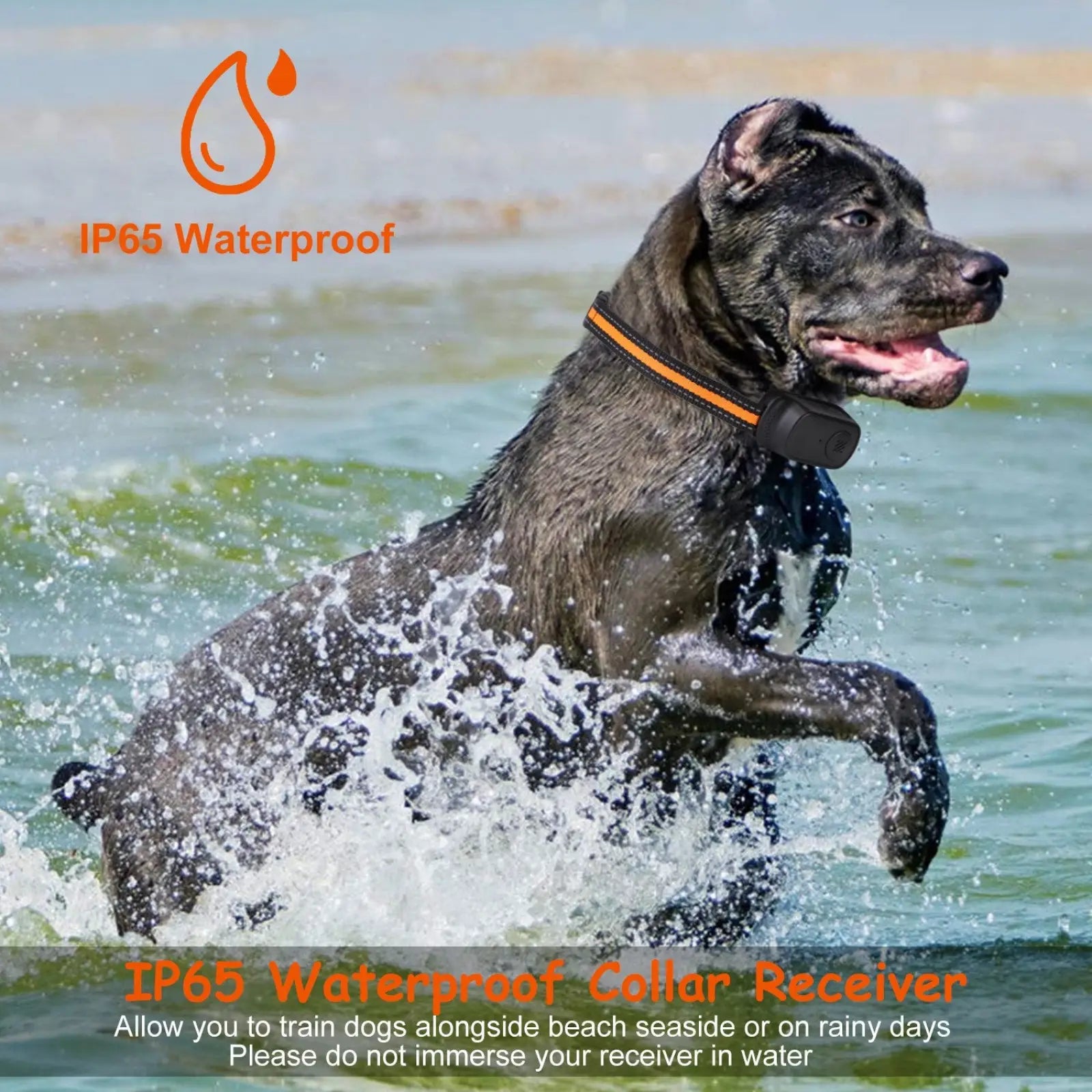 Black and orange ip65 waterproof dog training collar receiver with voice record and 984ft range shown from the back side