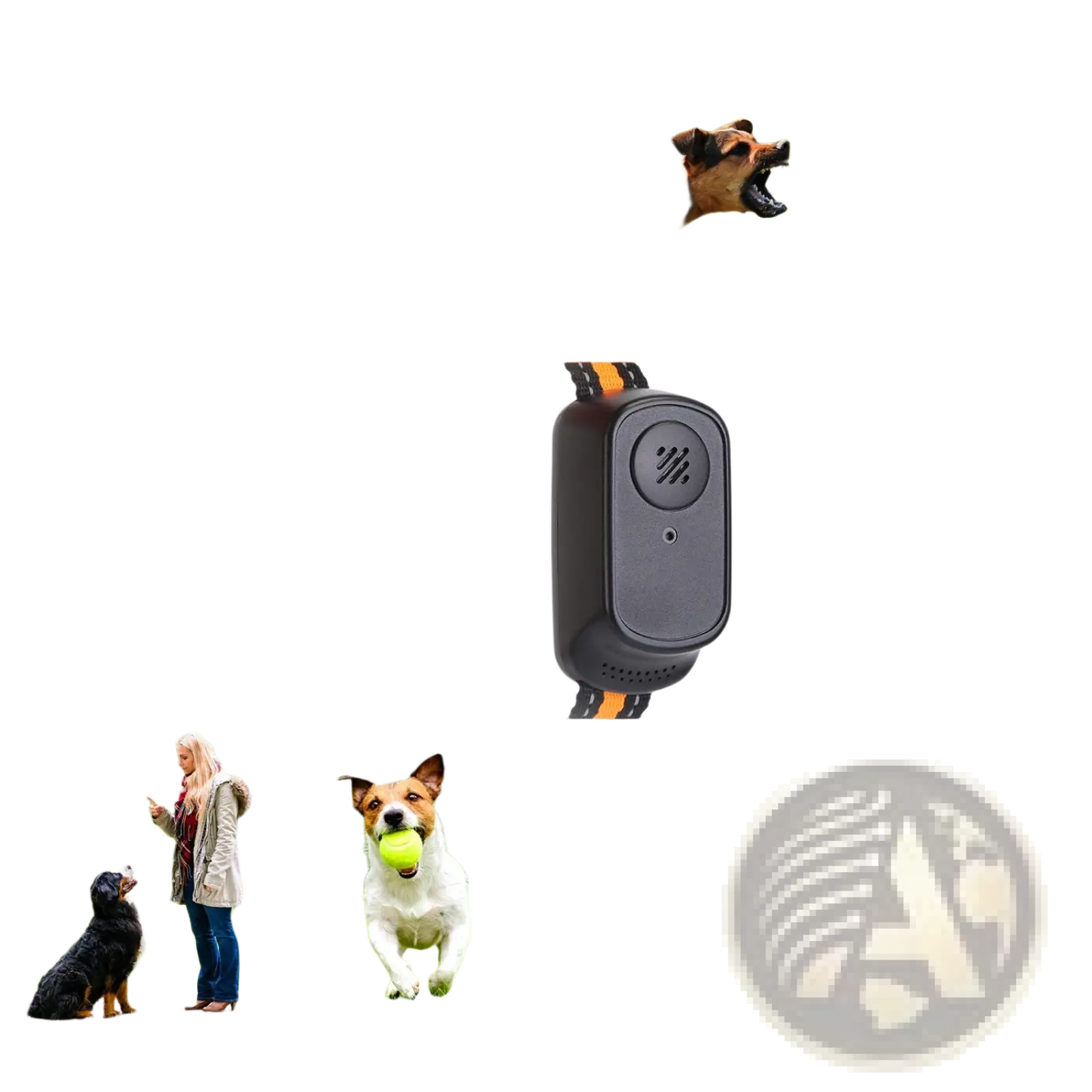 Black rectangular dog training collar with 984ft range, waterproof design, and orange black braided strap with voice record