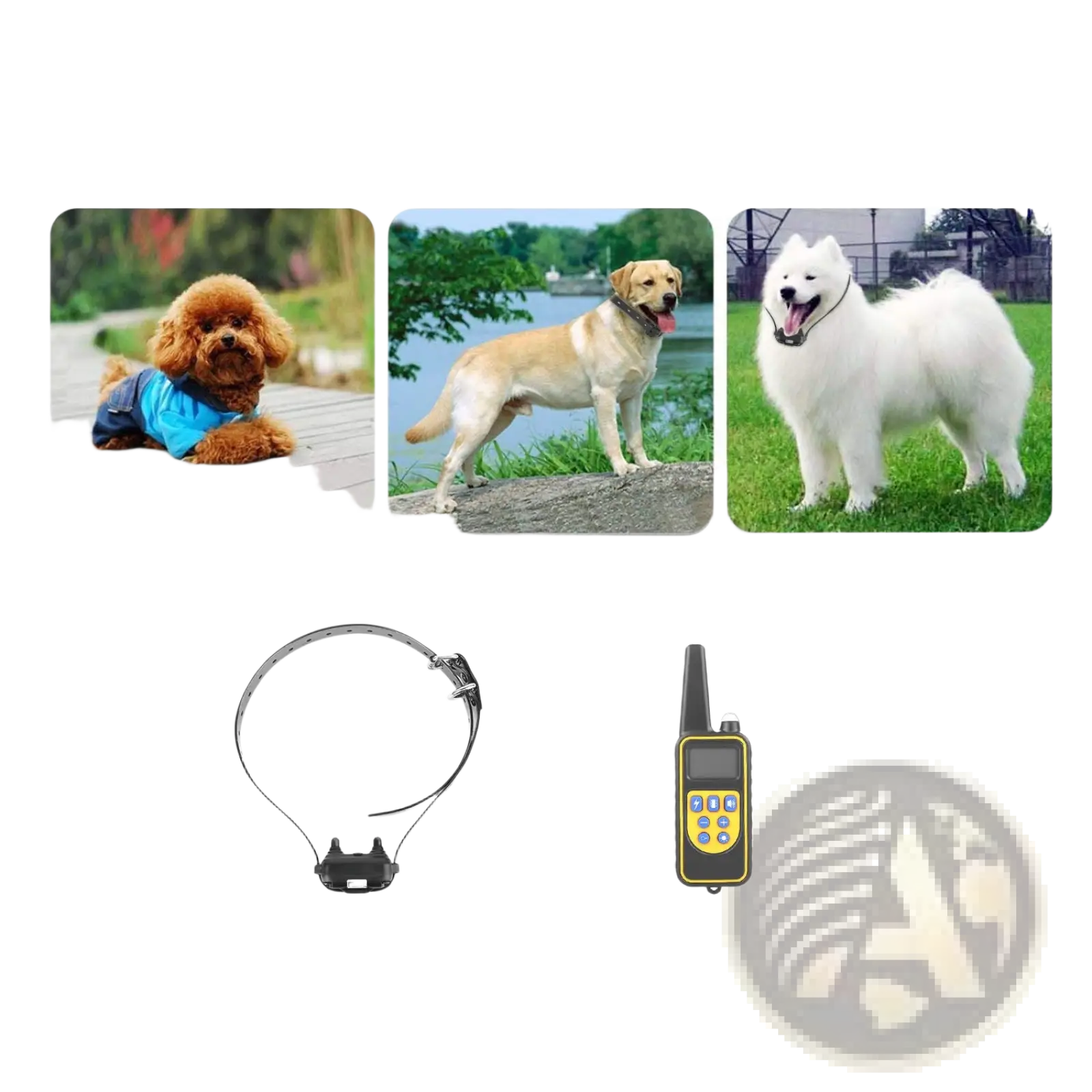 Adjustable dog training collar with black plastic buckle and metal hardware designed for all sizes ip67 waterproof