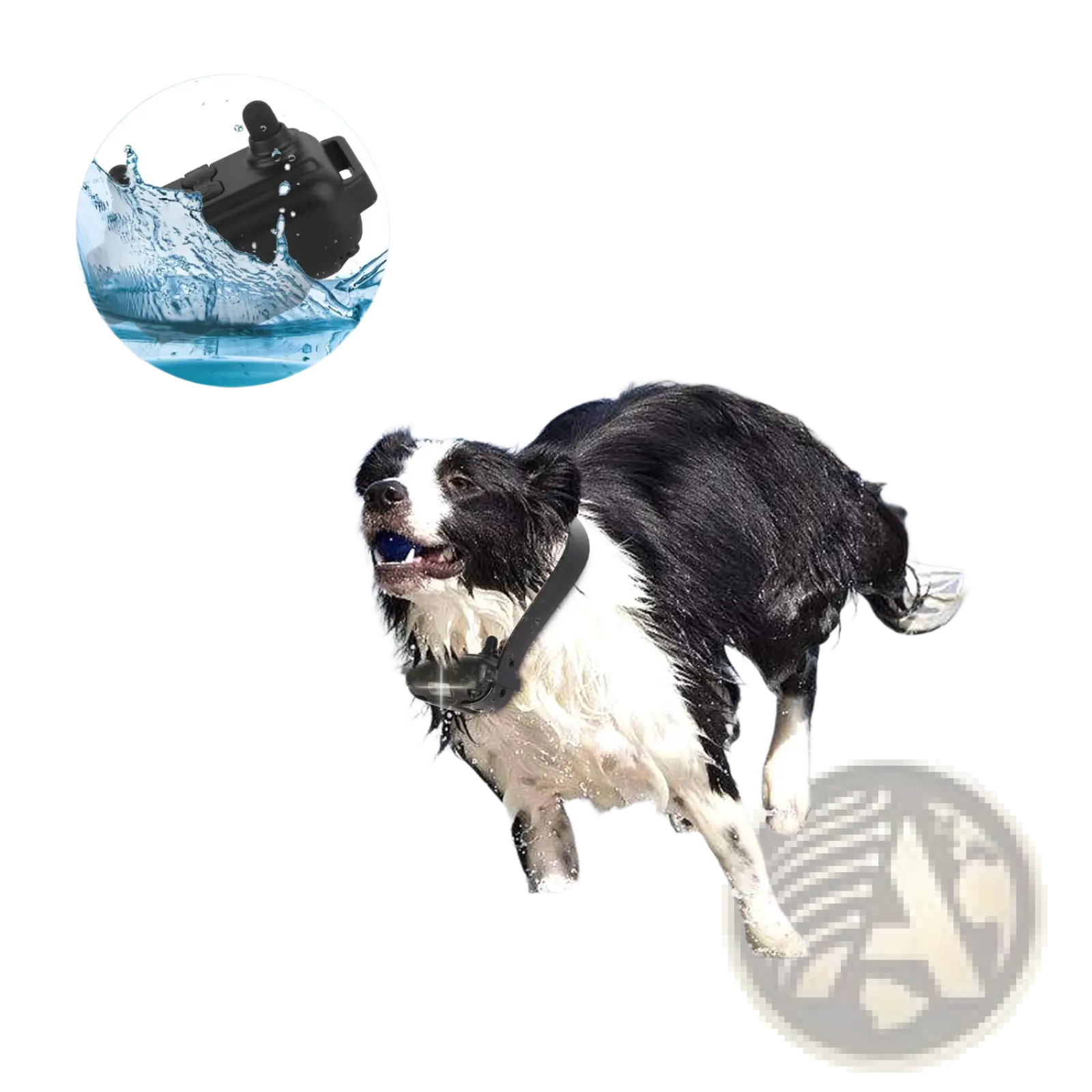 Black waterproof dog training collar with remote ip67 rating and sleek compact design for active outdoor use