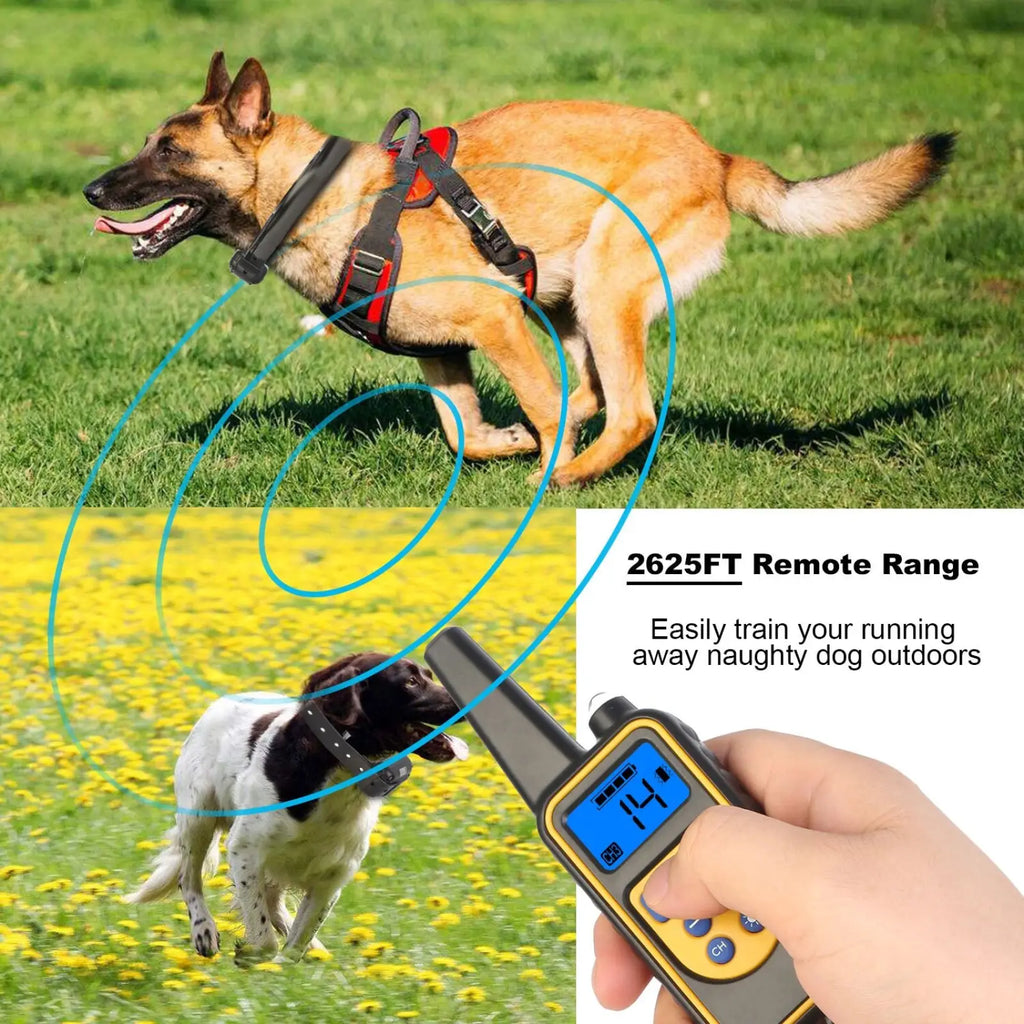 Black and yellow dog training collar with remote and ip67 waterproof rating showing blue digital display 14