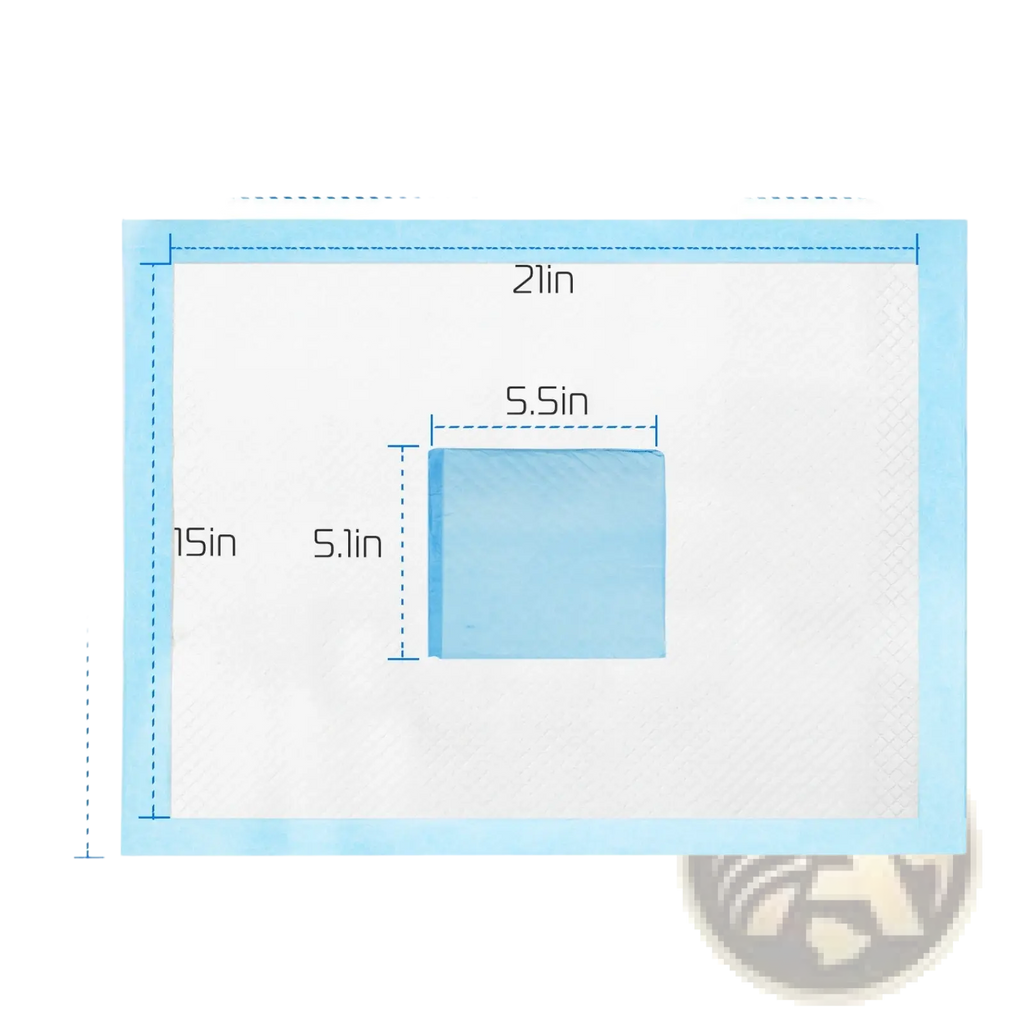 Light blue absorbent dog training pad with white center and border measuring 24 by 21 inches for puppy pee mats