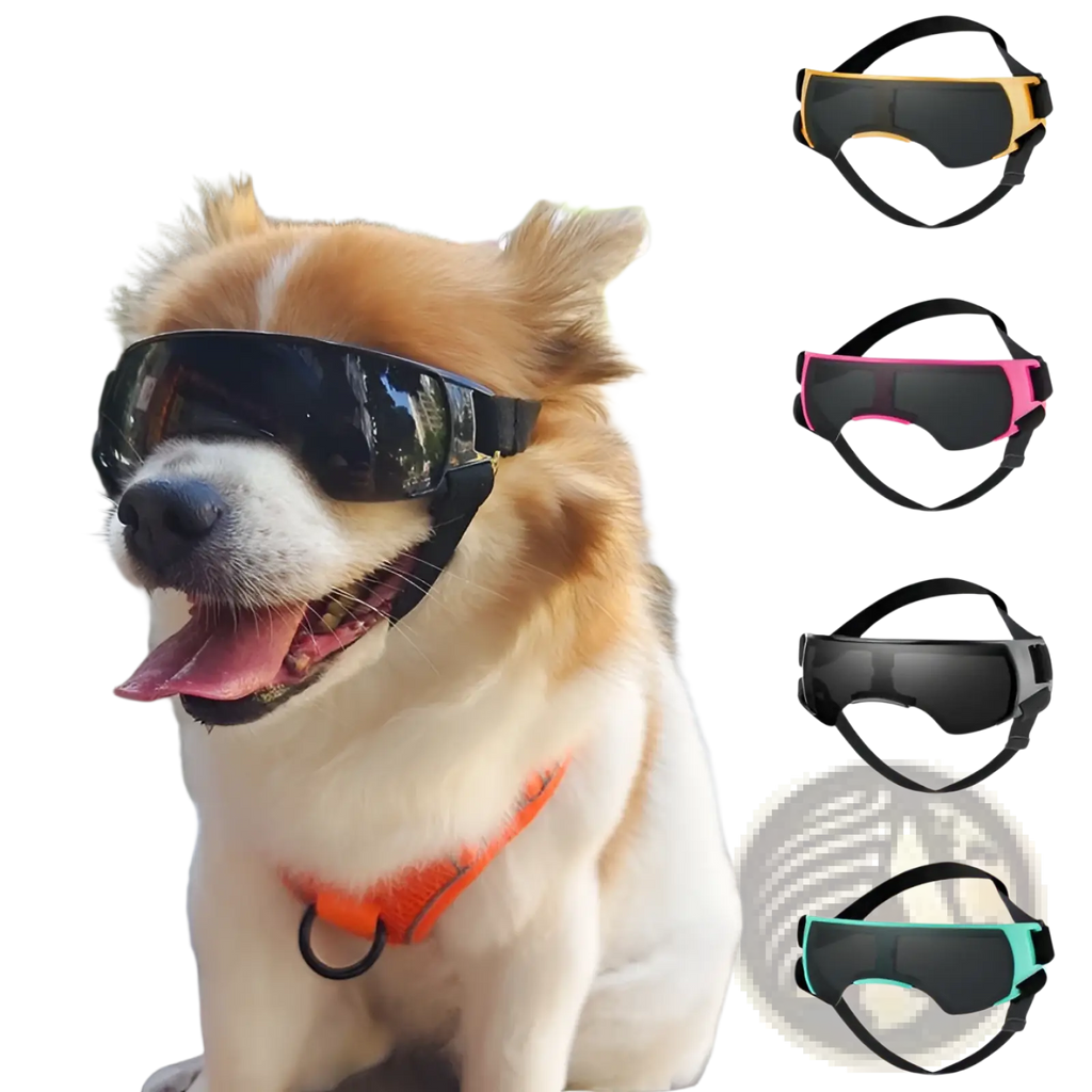 Black dog UV protection goggles with sleek curved frame and adjustable black straps for secure outdoor use