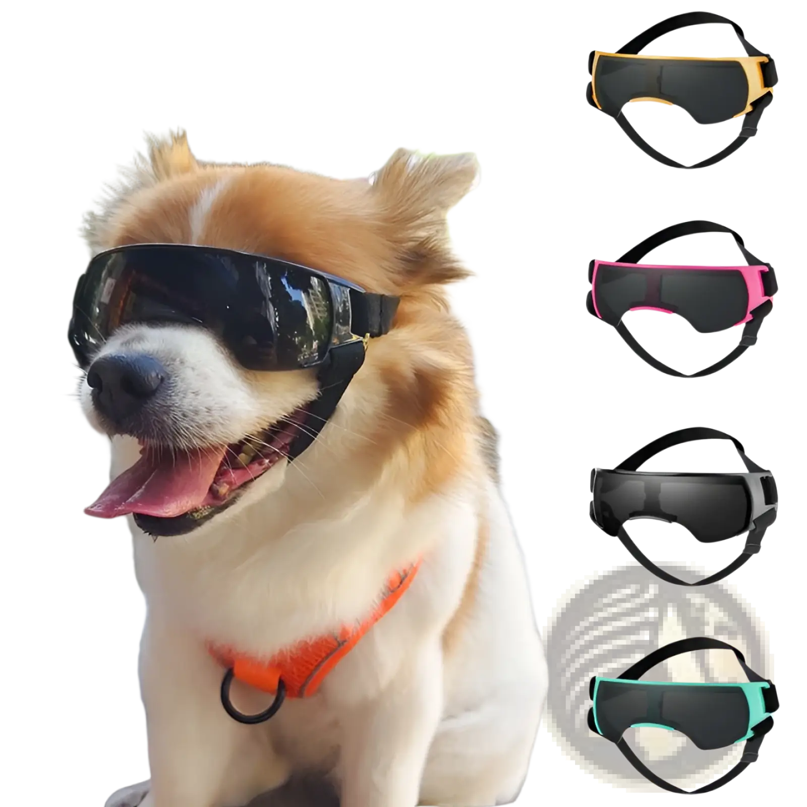 Black dog UV protection goggles with sleek curved frame and adjustable black straps for secure outdoor use