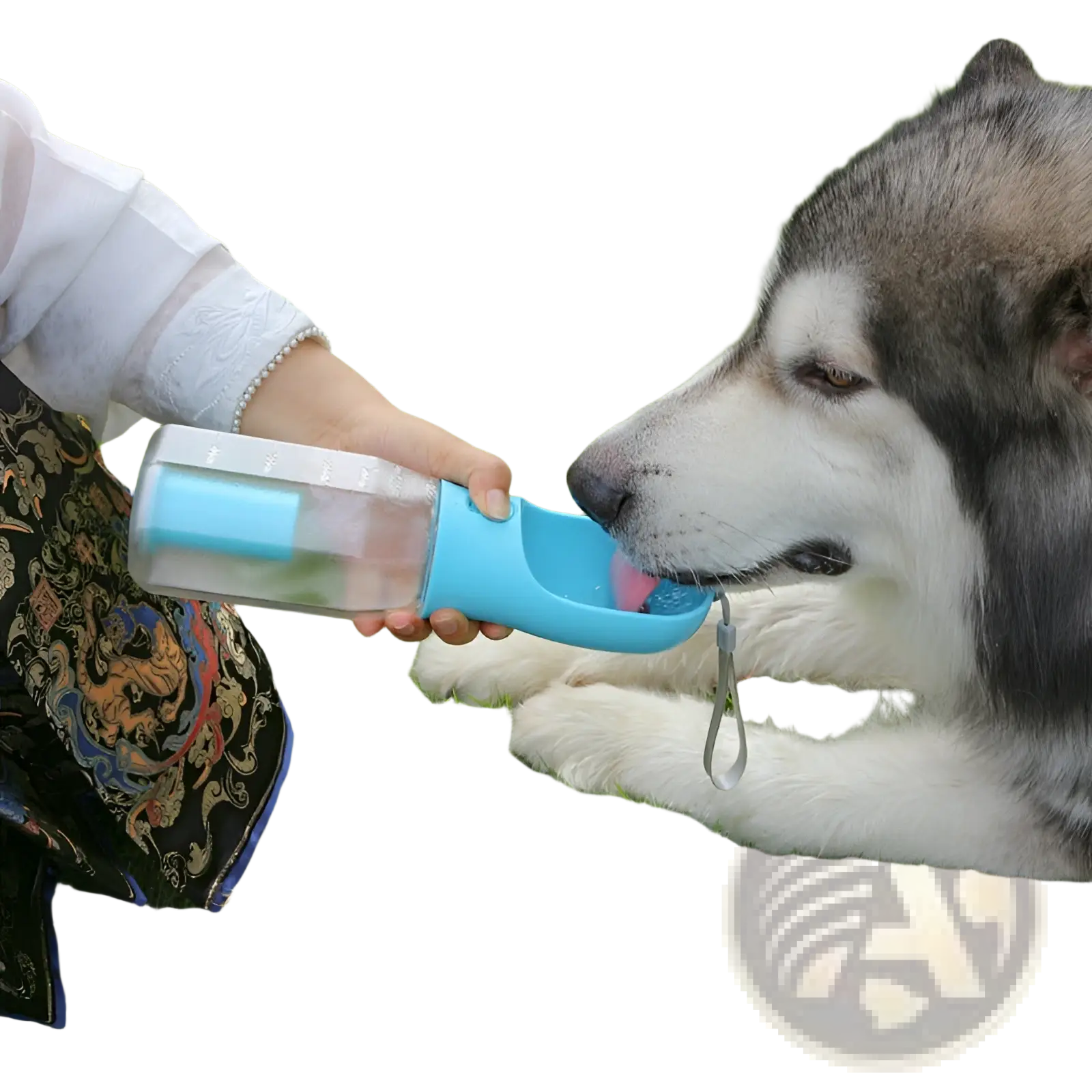 Dog water bottle 3 in 1 portable feeder with blue plastic clear reservoir and spout for easy drinking and poop bag use