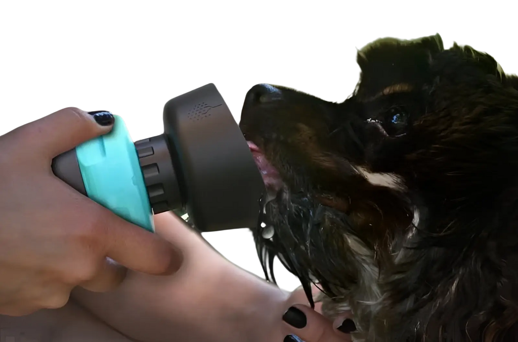 Teal and black handheld pet shower nozzle with textured grip for dog water bottle foldable travel dispenser bowl