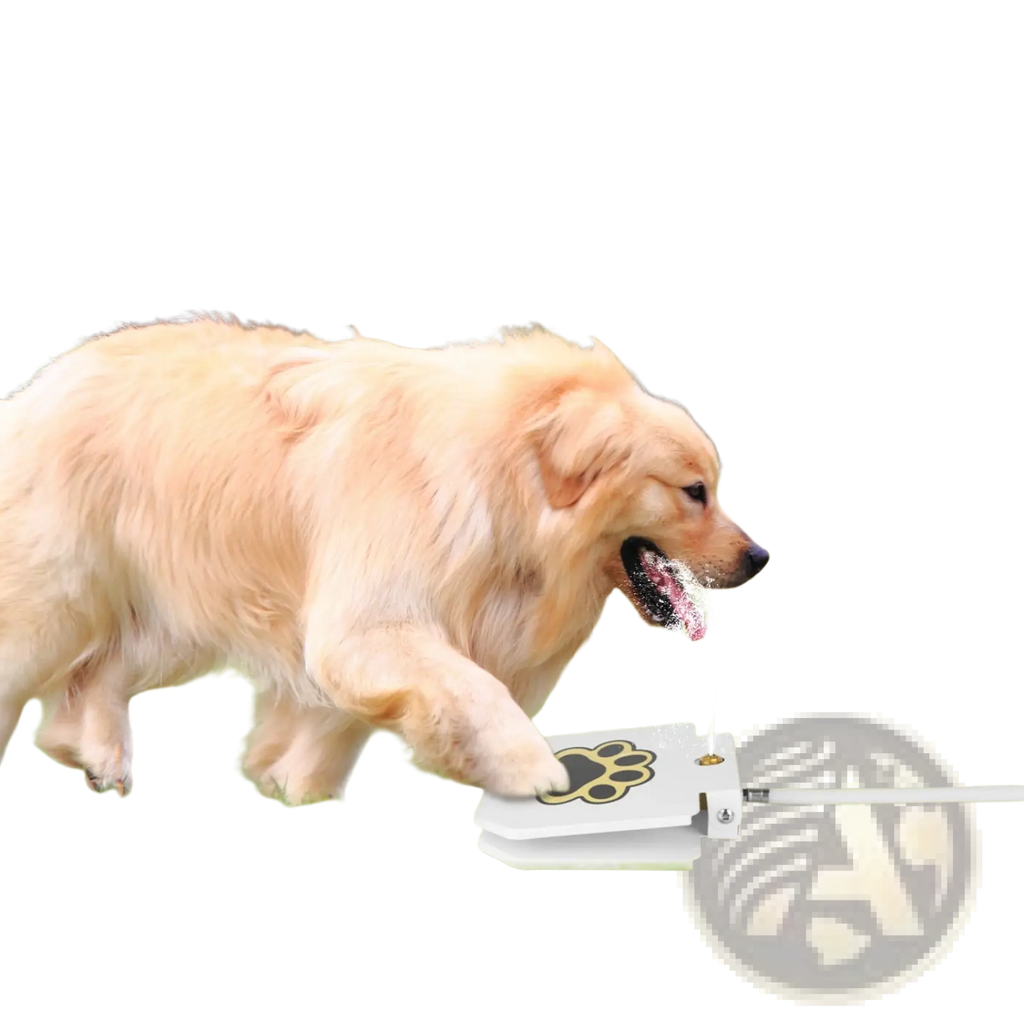 White paw-print dog water fountain with step-on sprinkler valve for outdoor use in durable material