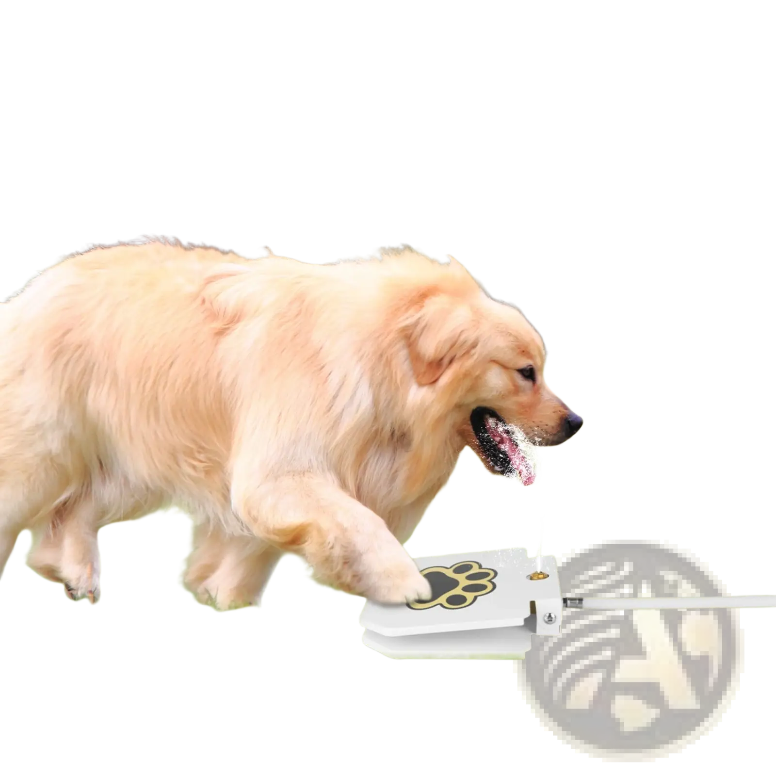 White paw-print dog water fountain with step-on sprinkler valve for outdoor use in durable material