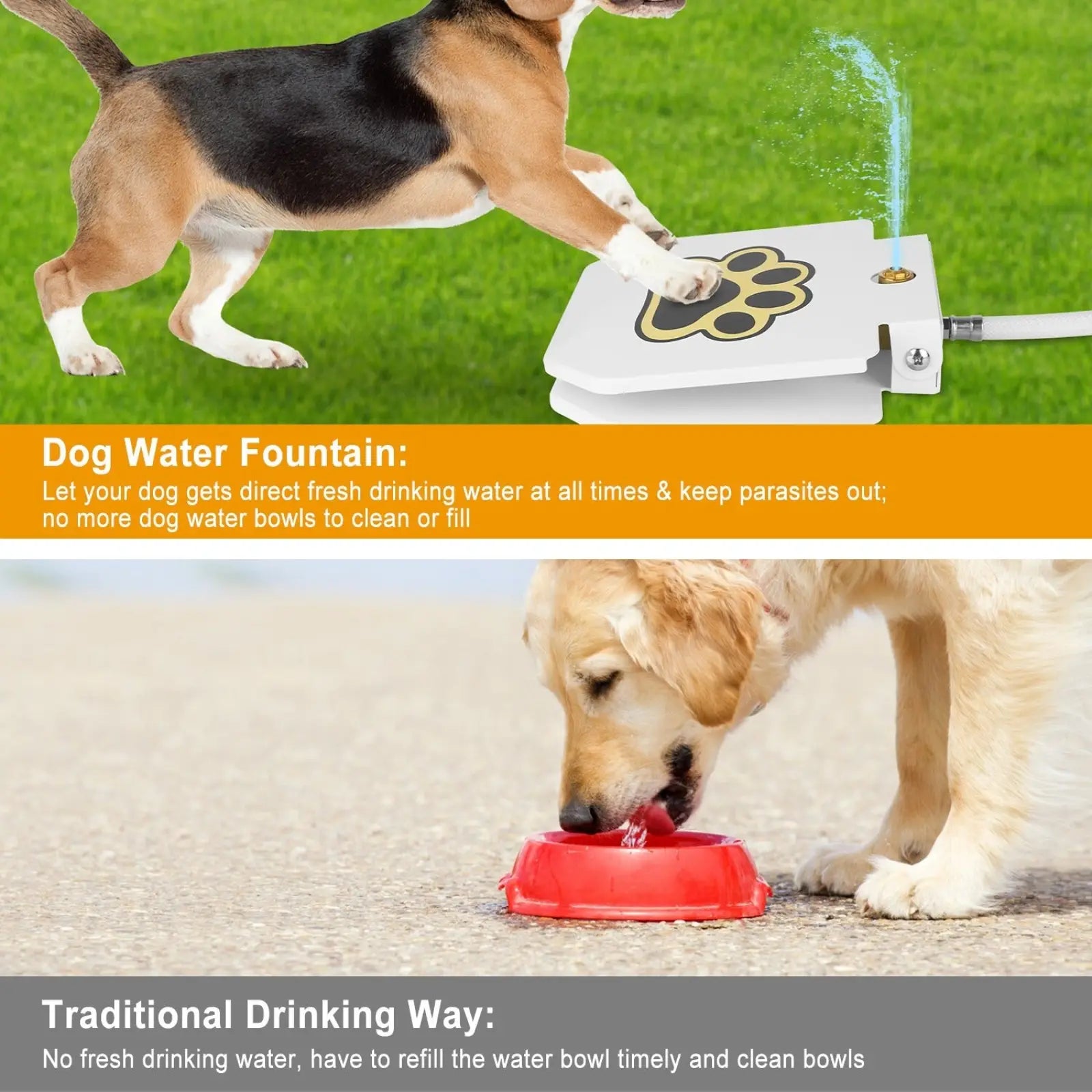 White paw-print designed dog water fountain with spray nozzle and hose attachment for outdoor pet watering