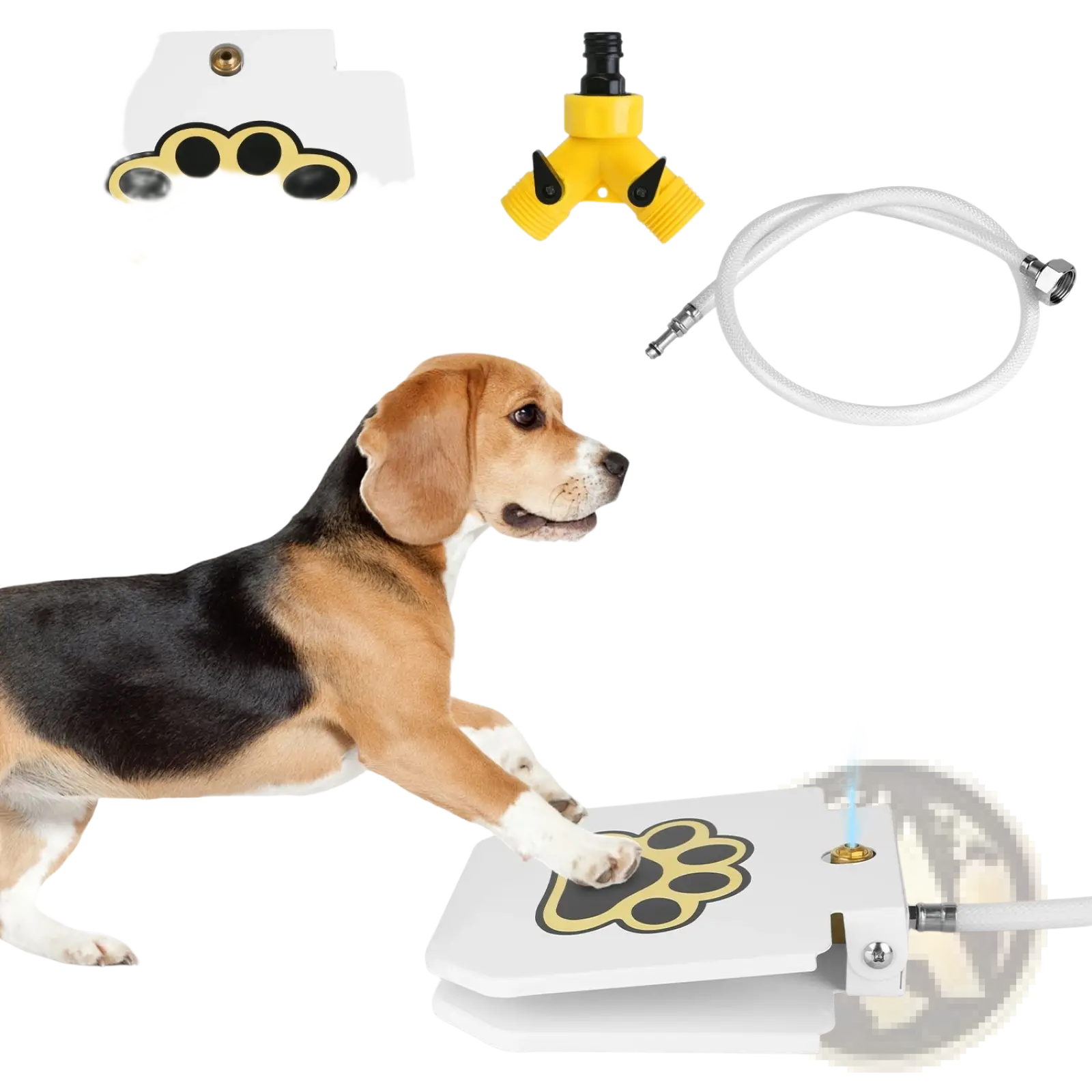 White paw-print designed dog water fountain with gold trim and brass nozzle step on outdoor pet sprinkler valve