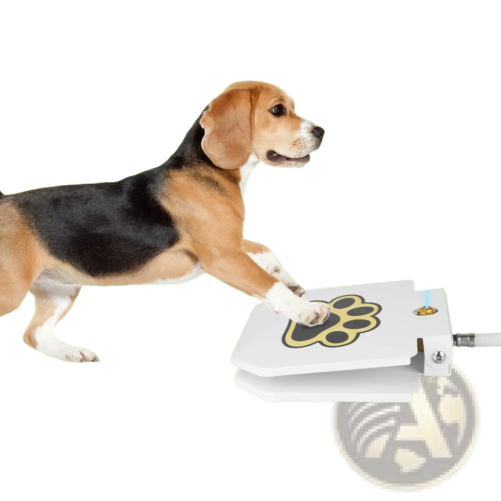 White paw-print designed dog water fountain with blue spray for outdoor pet sprinkler valve use