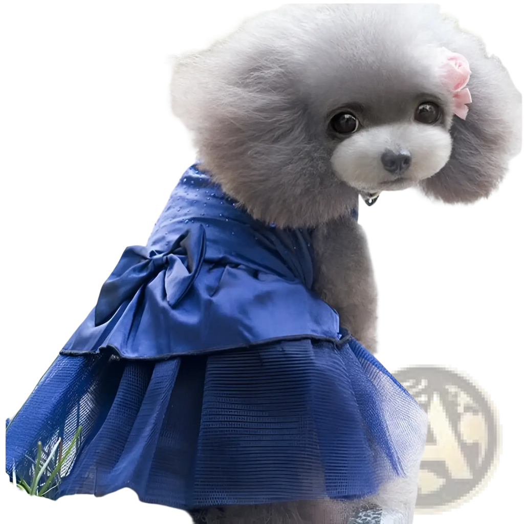 A fluffy gray poodle wearing a royal blue rhinestone tulle dog wedding dress with satin bodice and pink flower accessory