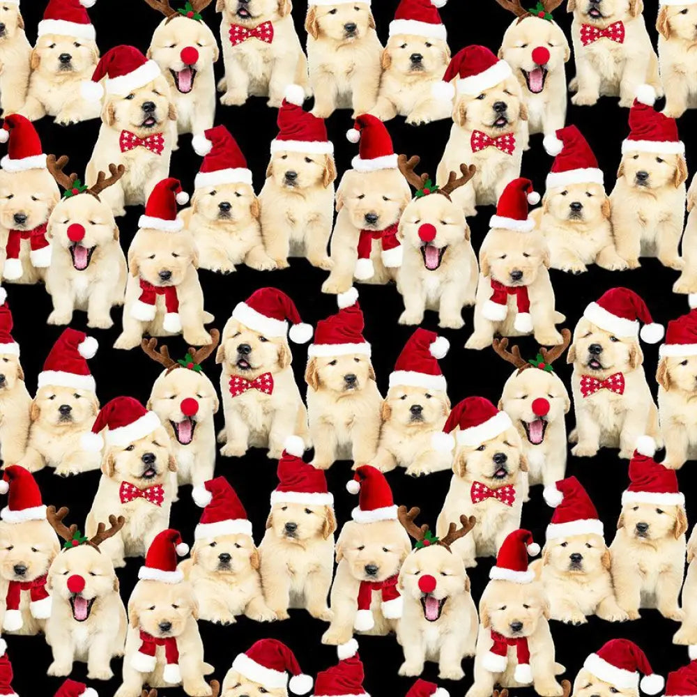 Adorable golden retriever puppies wearing red santa hats in a cotton fit and flare holiday dress with festive accessories