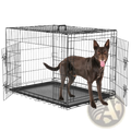 Double door black wire dog crate with gray removable plastic tray for easy cleaning and secure pet containment