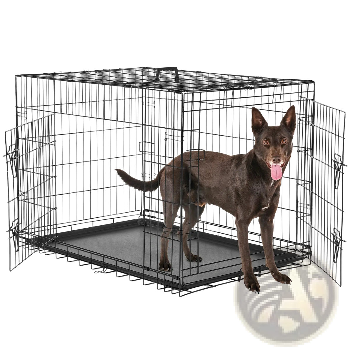 Double door black wire dog crate with gray removable plastic tray for easy cleaning and secure pet containment