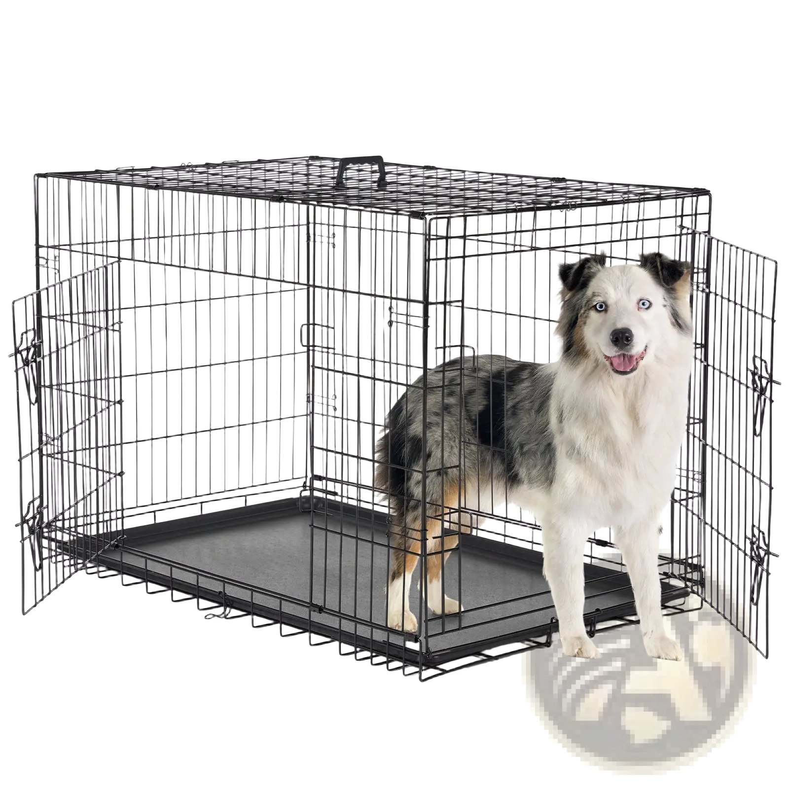Black wire mesh double door dog crate with solid black plastic floor and side doors for secure pet containment