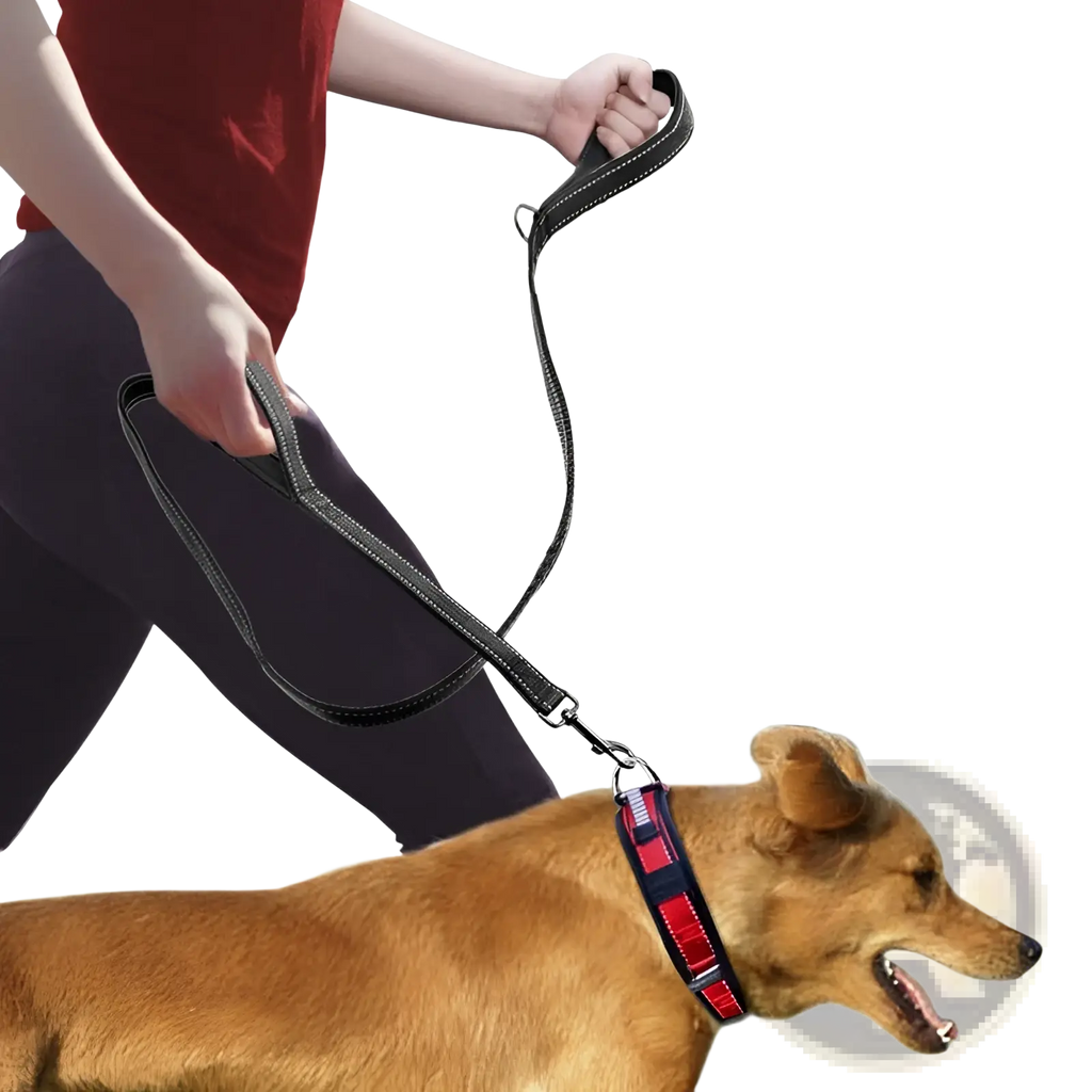 Black leather double handle reflective dog leash with red and navy reflective strap for enhanced visibility