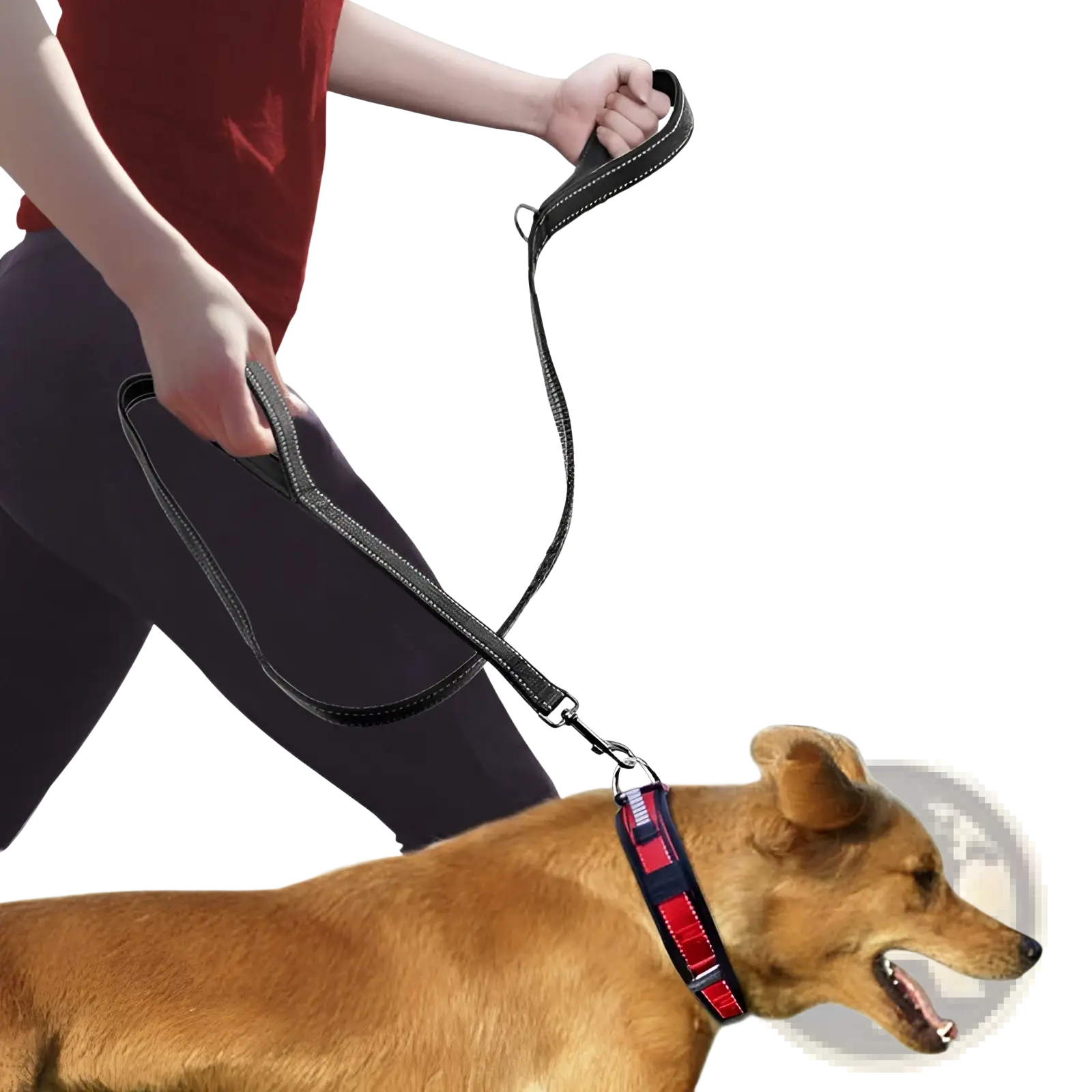 Black leather double handle reflective dog leash with red and navy reflective strap for enhanced visibility