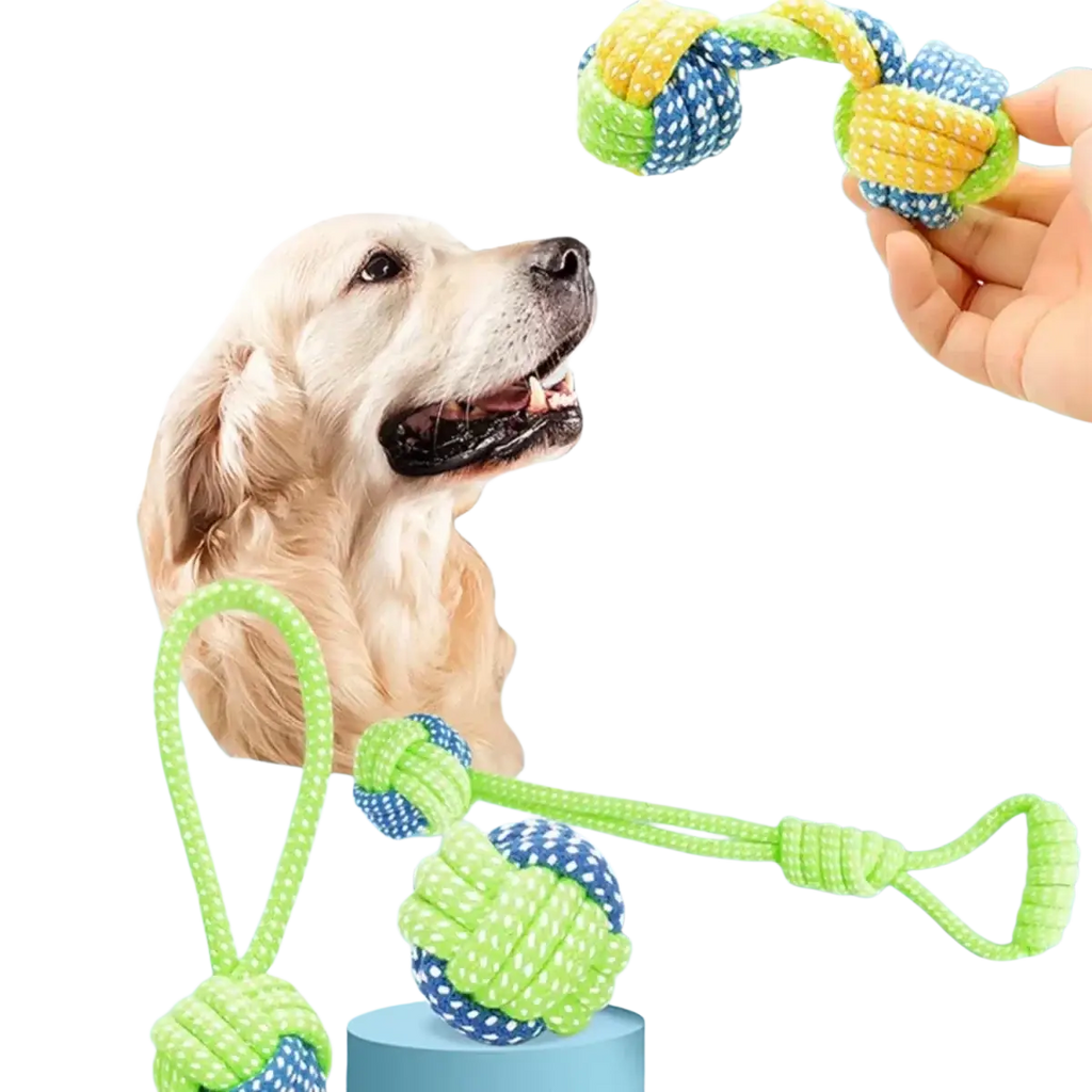 Bright green and blue durable cotton rope dog toy with knot and loop handle for chew and play activities