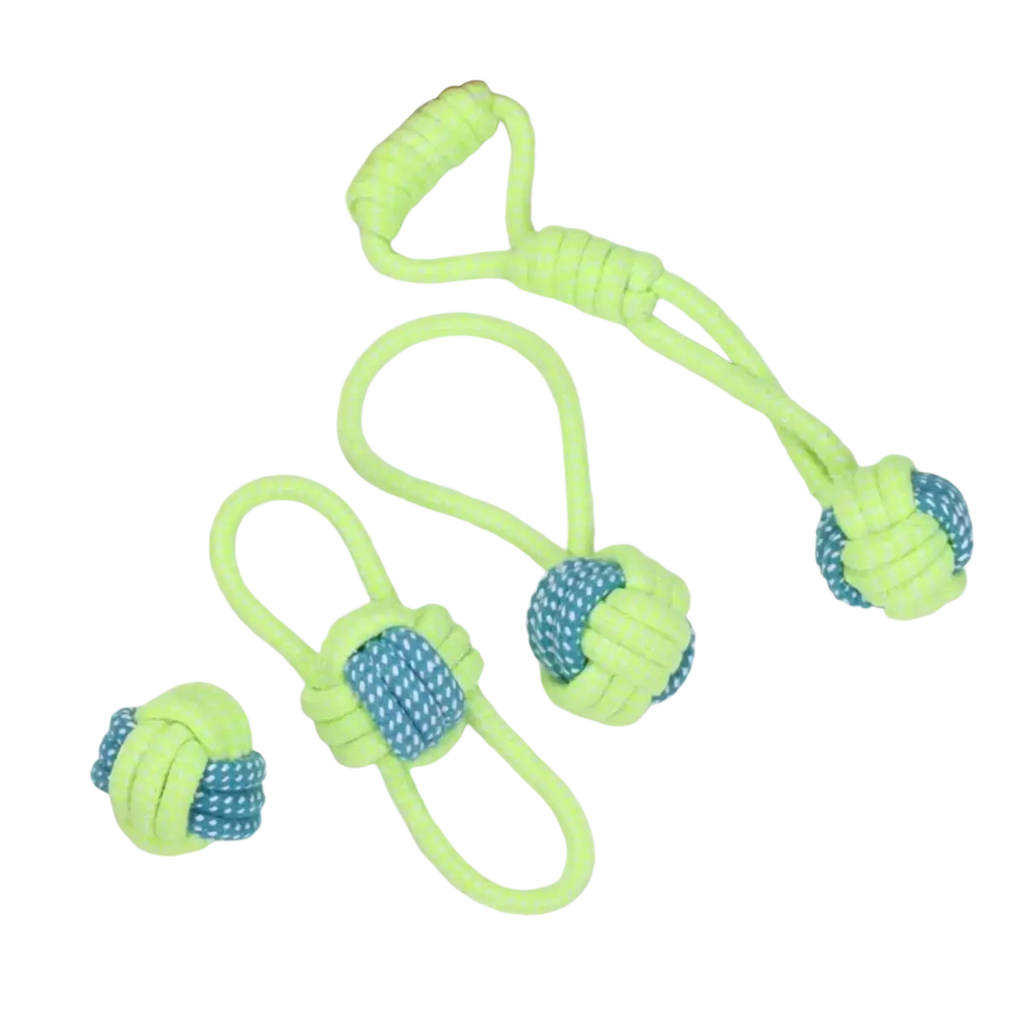 Set of three durable cotton rope dog toys in neon green and blue with knots and loop handles for chew and play
