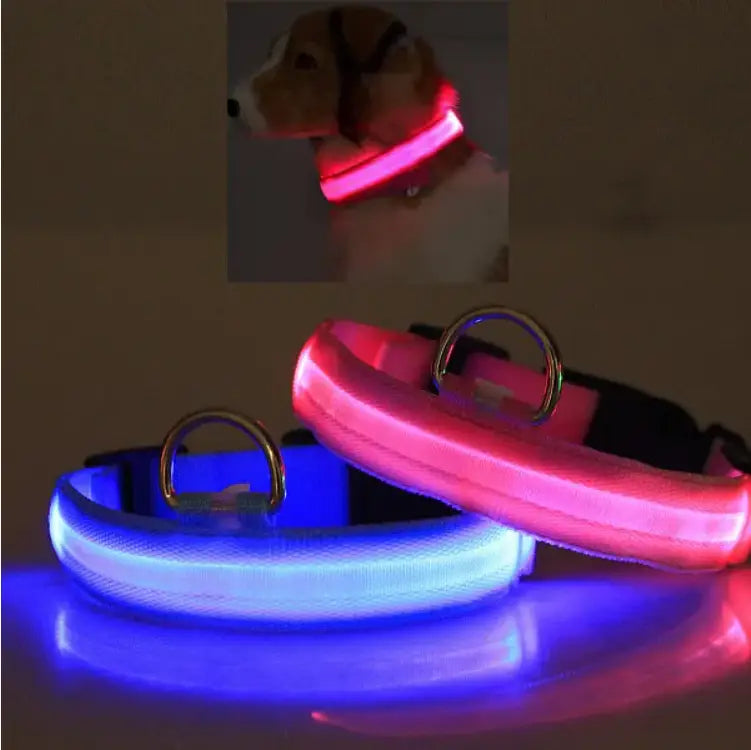 led dog collar reflective light up safety halo belt in pink and blue with reflective strips and metal d-rings for enhanced visibility and secure attachment.