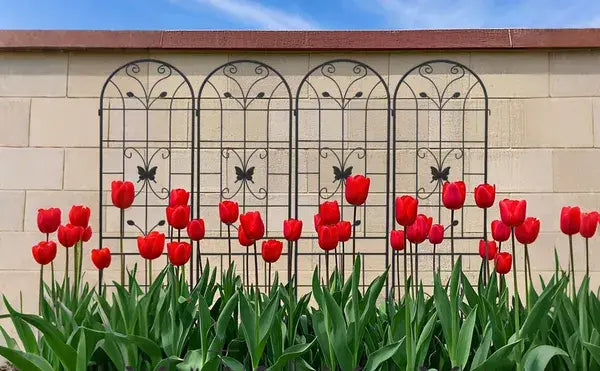 4 Pack Metal Garden Trellis 86.7’’ x 19.7’’ Rustproof Trellis for Climbing Plants Outdoor Flower Support