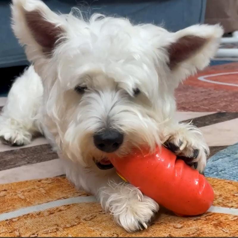 Indestructible Dog Chew Toy Squeaky Rubber Teeth Cleaner