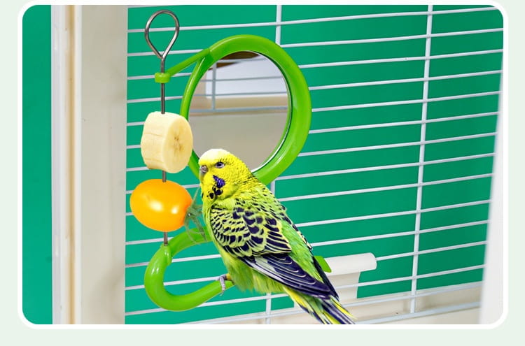 Grünes Kunststoff-Futterspender- und Futterhalter-Spielzeug mit rundem Spiegel sowie hängenden Befestigungen für Banane und orangefarbenen Ball für Papageien