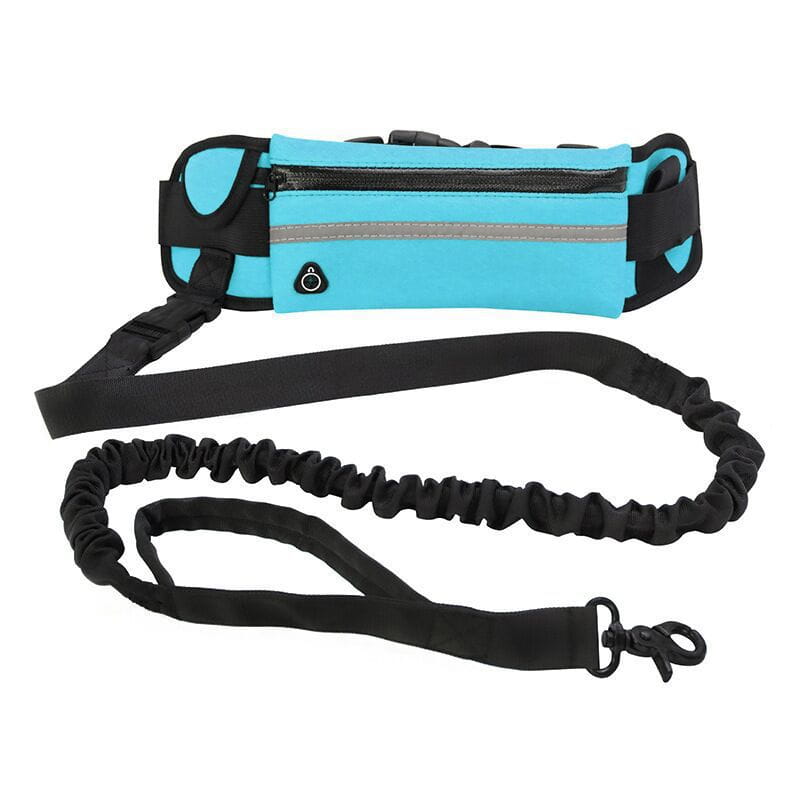 Juego de cinturón para caminar al perro sin manos y correa en color turquesa y negro con franja reflectante, correas elásticas y correa desmontable para uso atlético.