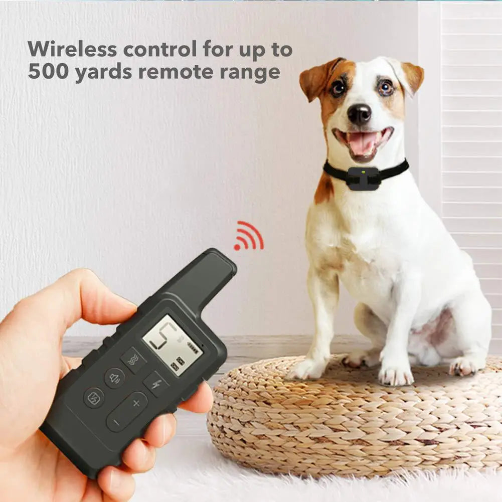 Collar de adiestramiento para perros impermeable IP67 recargable, herramienta para mascotas