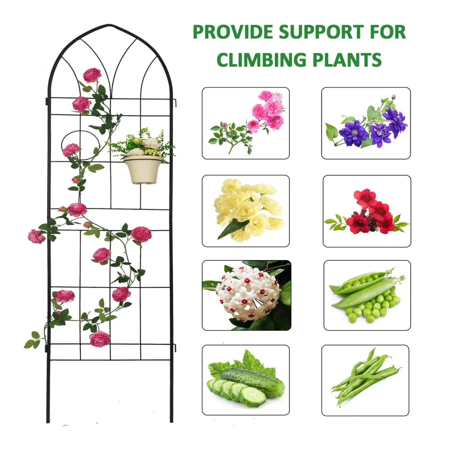 Black metal arched garden trellis with decorative lattice design for climbing plants in a 4 pack set.