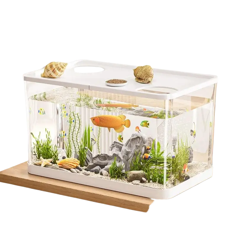 Ecological desktop fish tank with clear acrylic body, white plastic lid base, gold-orange fish, and green aquatic plants